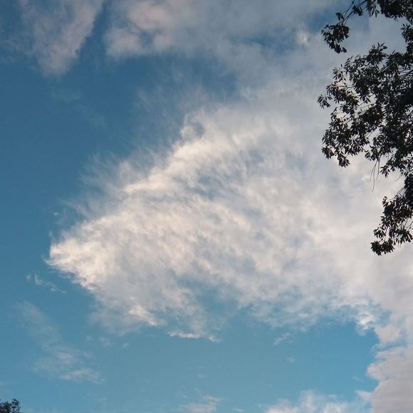 Meet your Posher, Jacquelyn - Picture 1 of 1